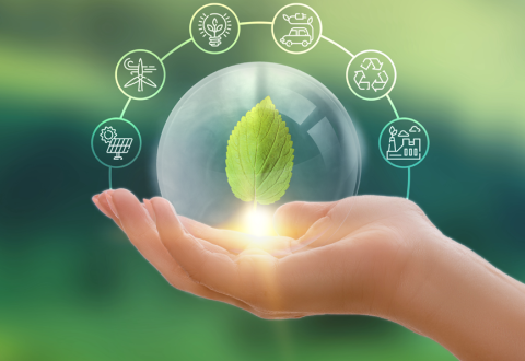 Sustainability at Saint-Gobain Medical: Our Commitment